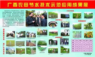 广西农田节水技术试验示范推广成果